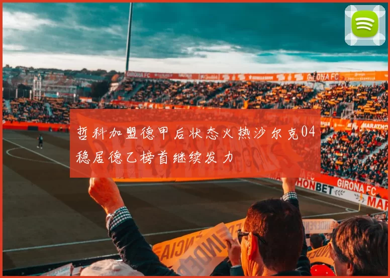 哲科加盟德甲后状态火热沙尔克04稳居德乙榜首继续发力